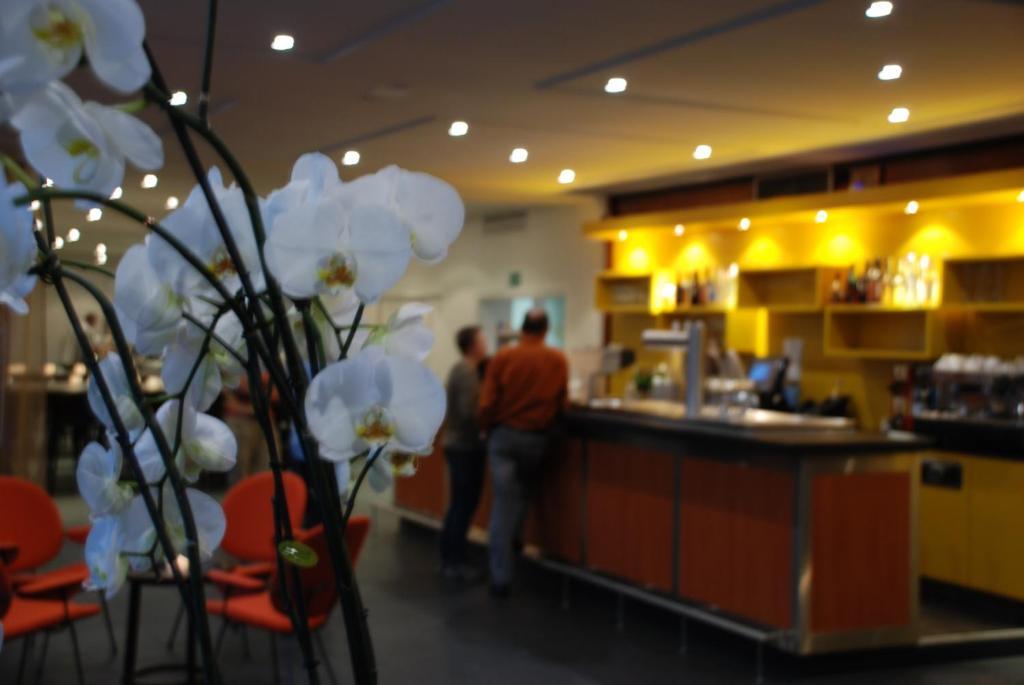 Hotel Am Fang Bad Laasphe Εξωτερικό φωτογραφία